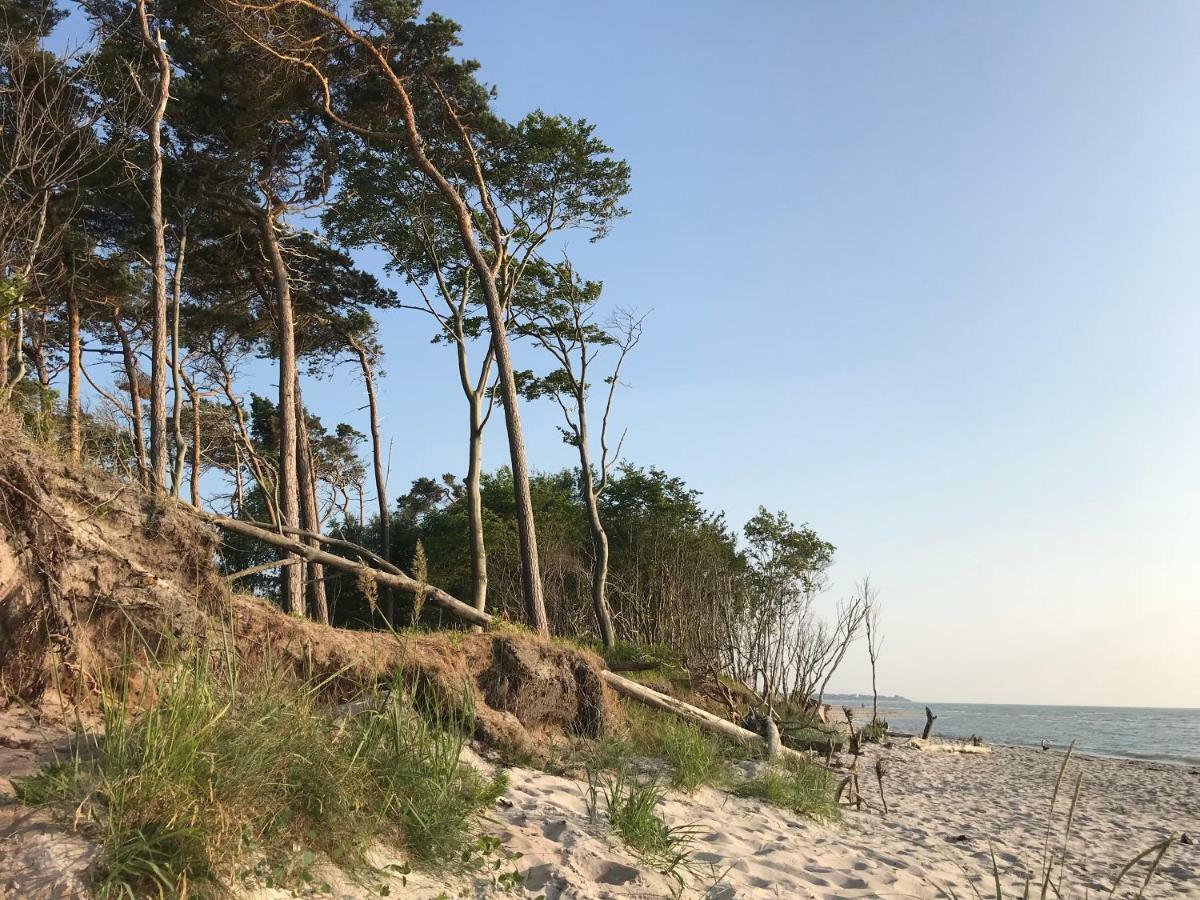 "Kontorhaus" By Ferienhaus Strandgut Борн Екстериор снимка